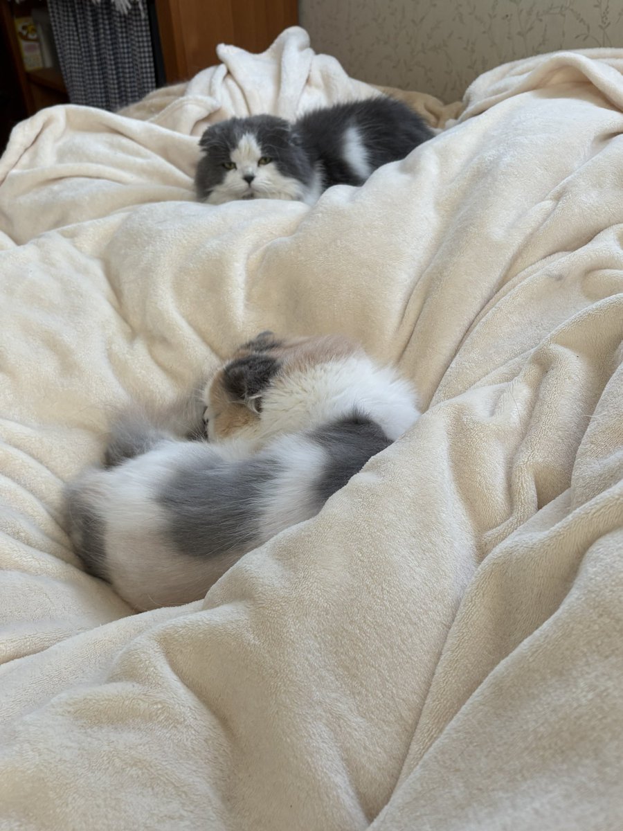 アタシの事よく書いてるでしょうね❓…って顔で見てくる😅