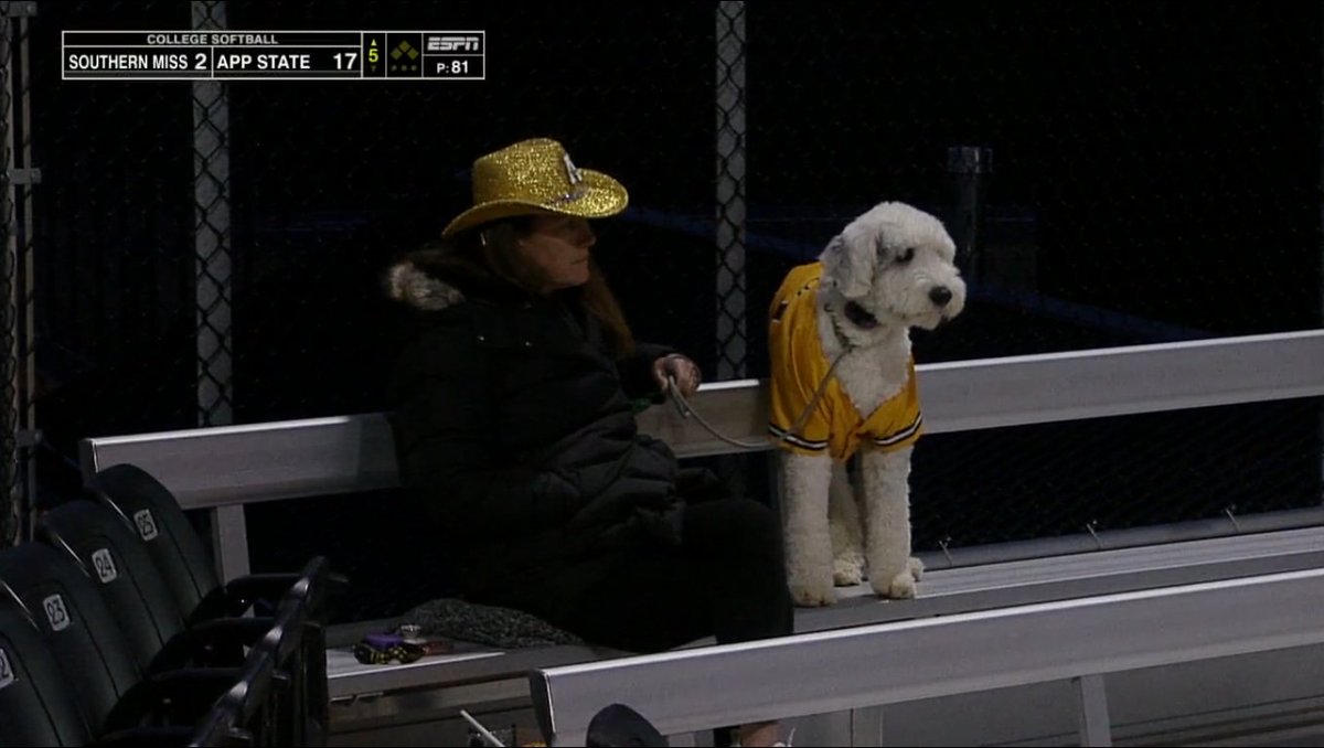 TK from the Paper, Windmill Enthusiast tweet media