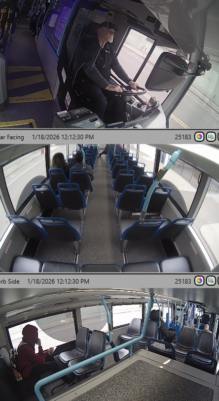 Melissa Luck ☘ tweet media