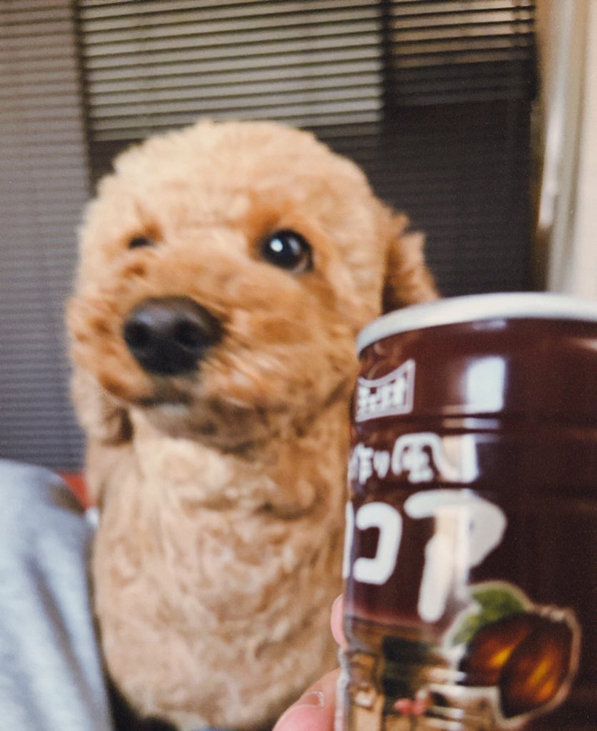 ってる tweet media