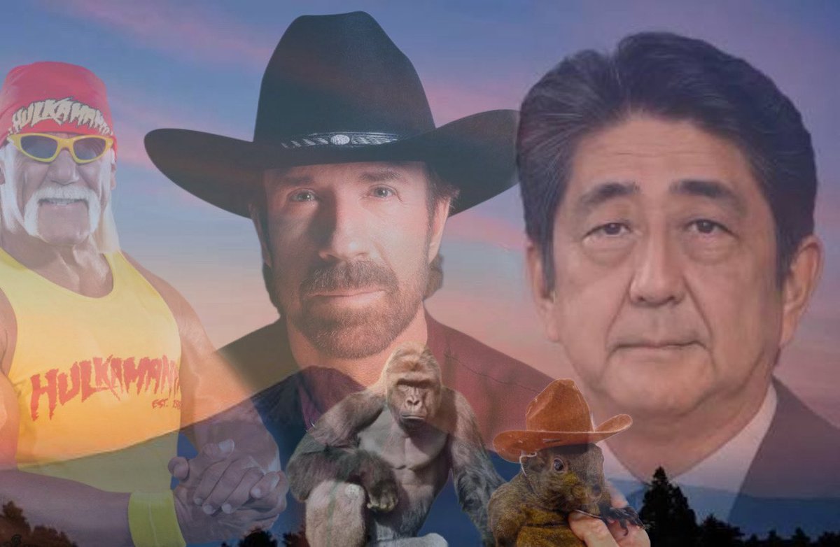 Mostly Peaceful Memes tweet media