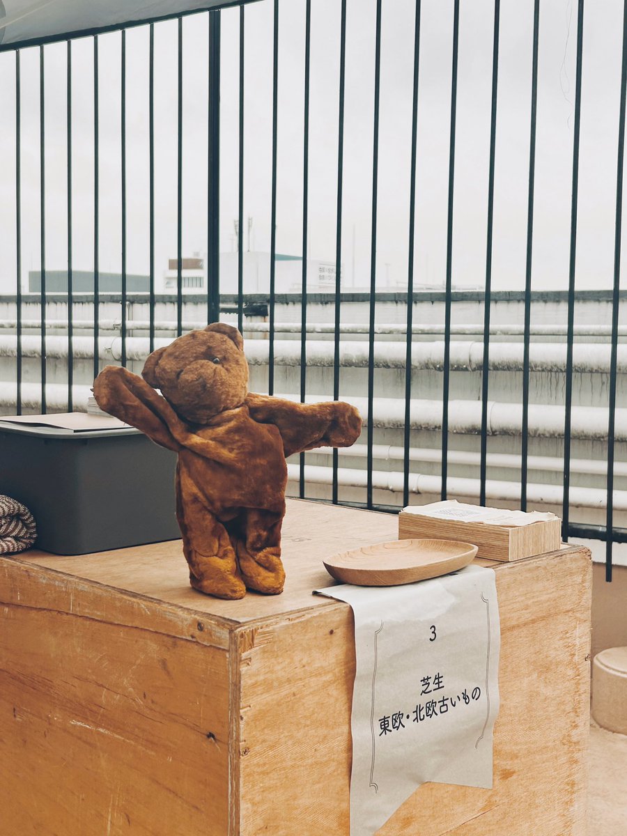 teabear（くまちゃん） tweet media