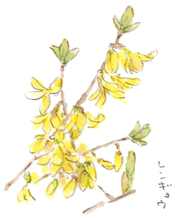 ほっこりデザイン tweet media