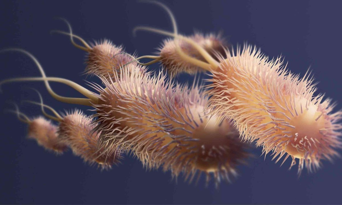 Earth.com tweet media