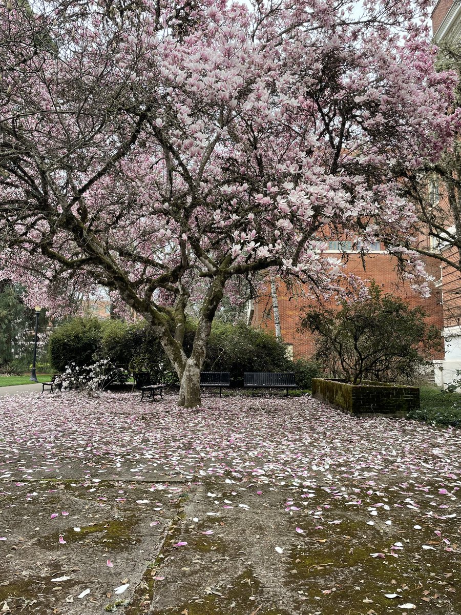 Magdalena🌲 tweet media