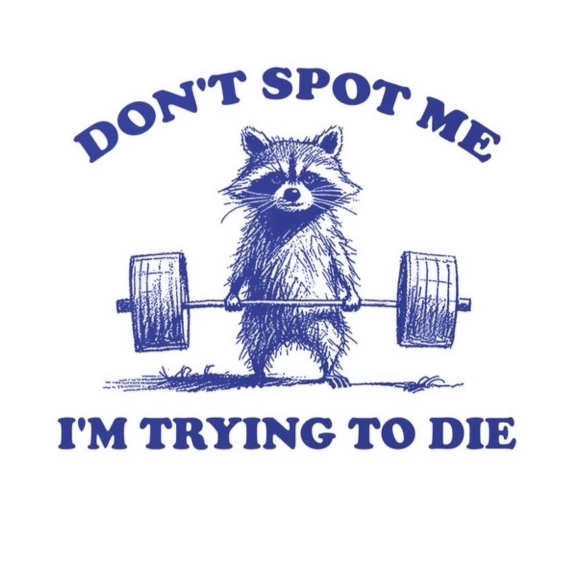 raccoon aesthetic. tweet media