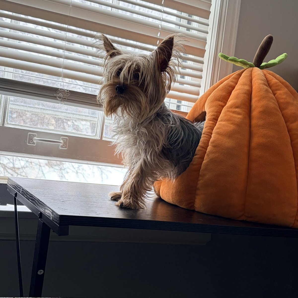 Saturn 🪐 Sedai tweet media