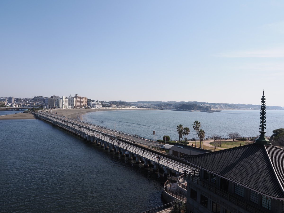 丸楠怜人 tweet media