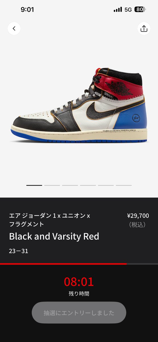 今回はクレカも抽選いけた
頼むよSNKRS🙏
