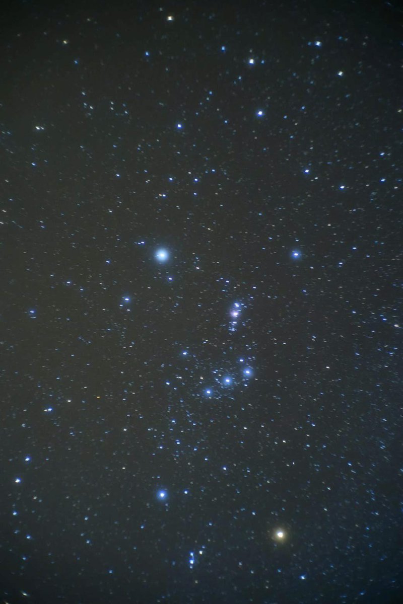 𝑺𝒆𝒓𝒆𝒏𝒍𝒚 tweet media