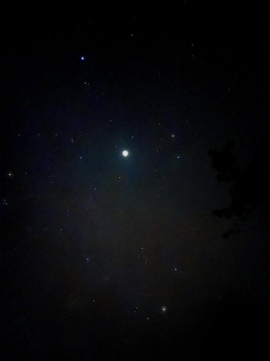 𝑺𝒆𝒓𝒆𝒏𝒍𝒚 tweet media