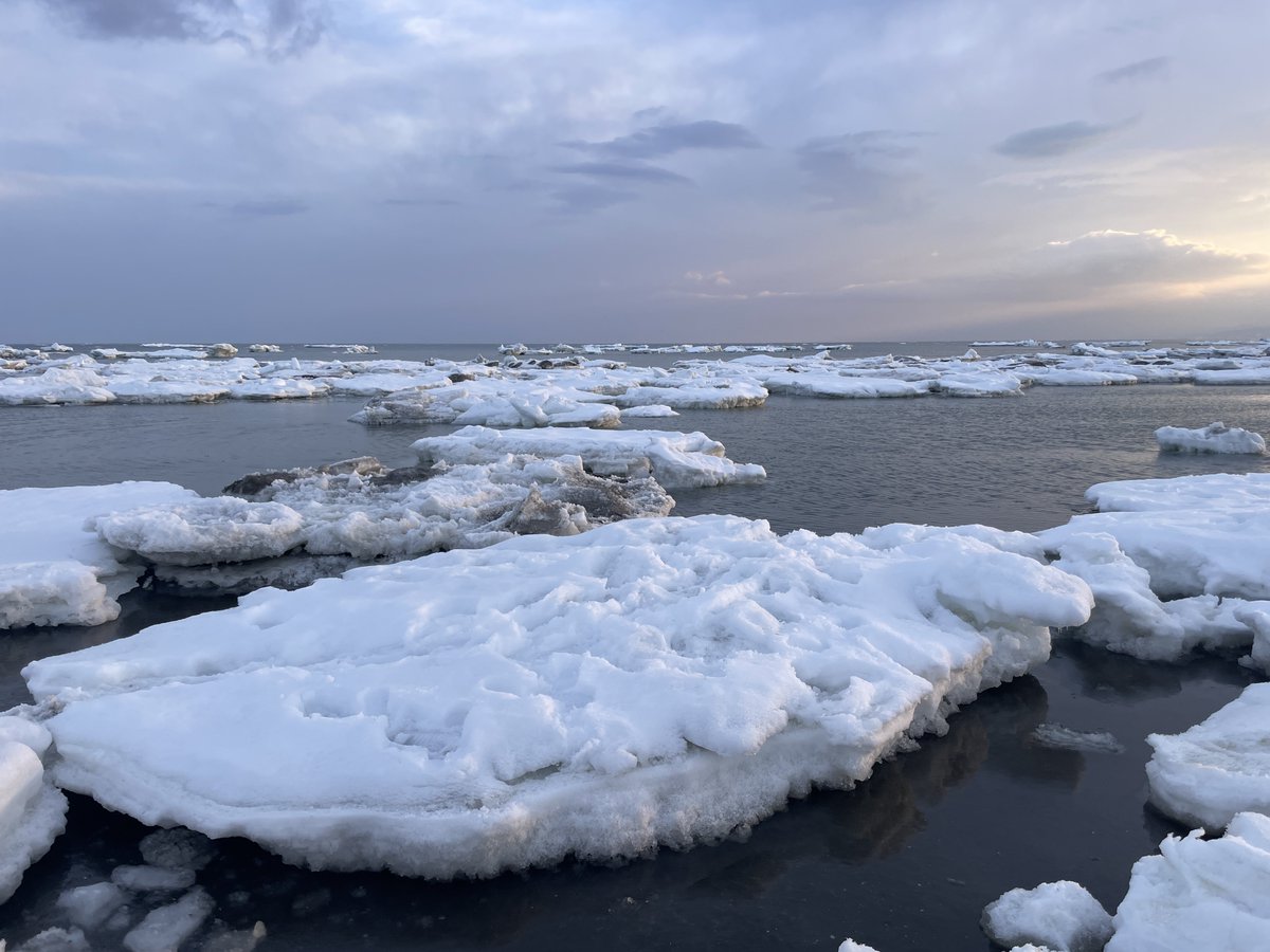 ryuhyonavi's tweet photo. ジュリアナ世代の皆さま
お立ち台にされたこの流氷も満ち潮になると浮いて流される危険性があるのでご注意下さいね🧊

#以久科原生花園
#流されてもたぶんロシアまで乗せて行ってはくれません https://t.co/i6E0qKYjJz