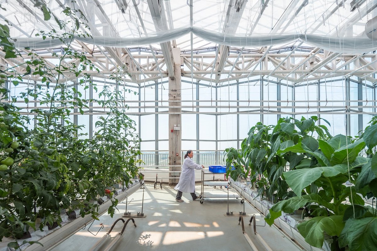 Architizer tweet media