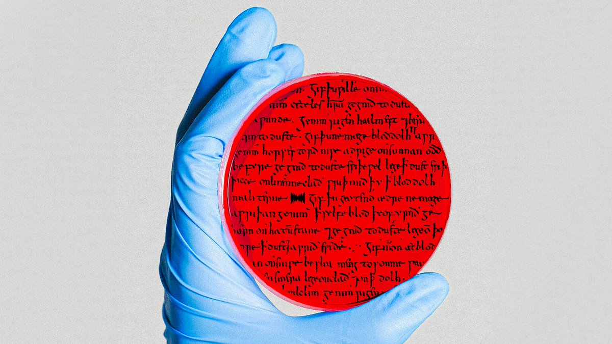 Radiolab tweet media