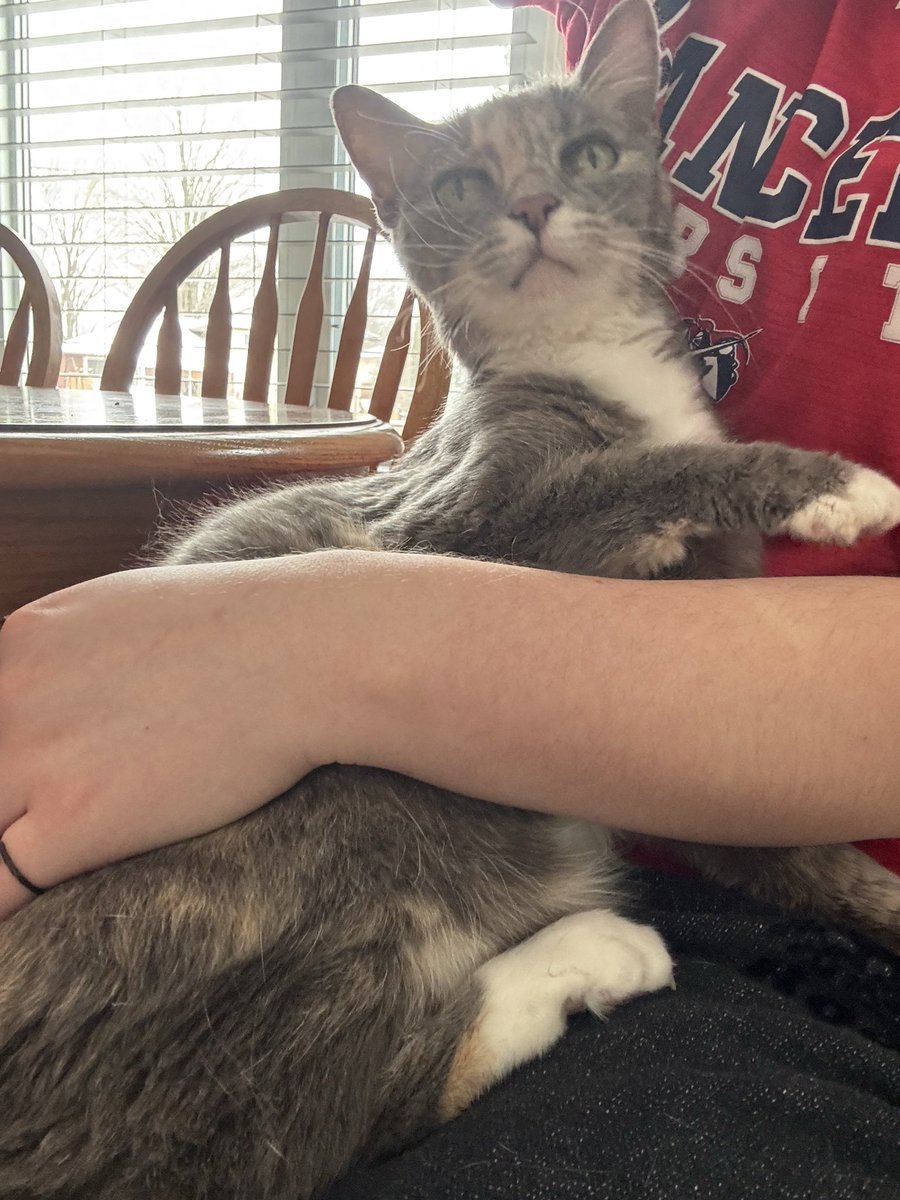 jen 🔜 PAX east! 🧸 tweet media