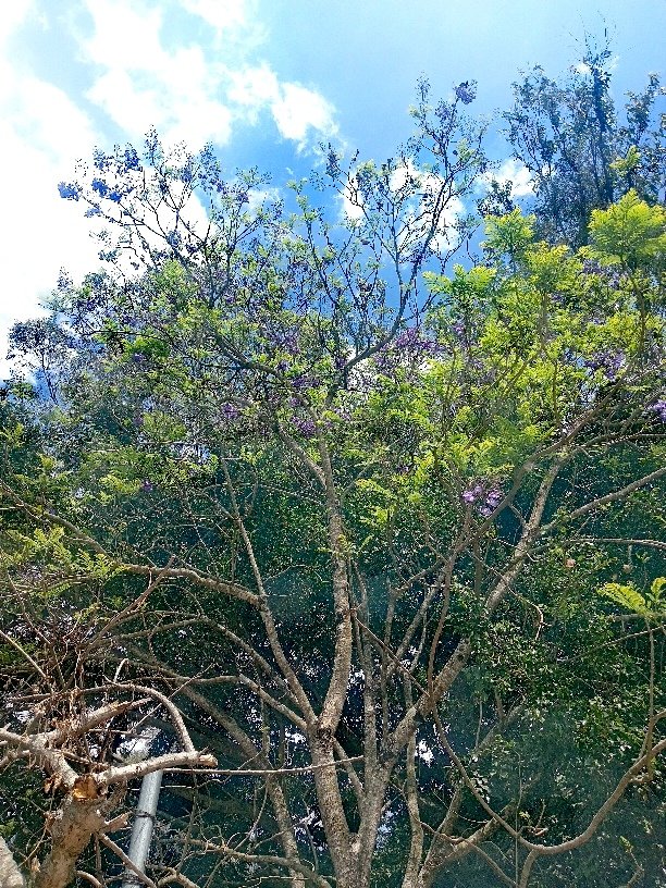 Kris Teni tweet media