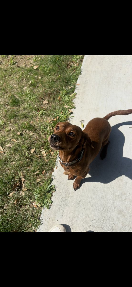 BrerTaylor tweet media