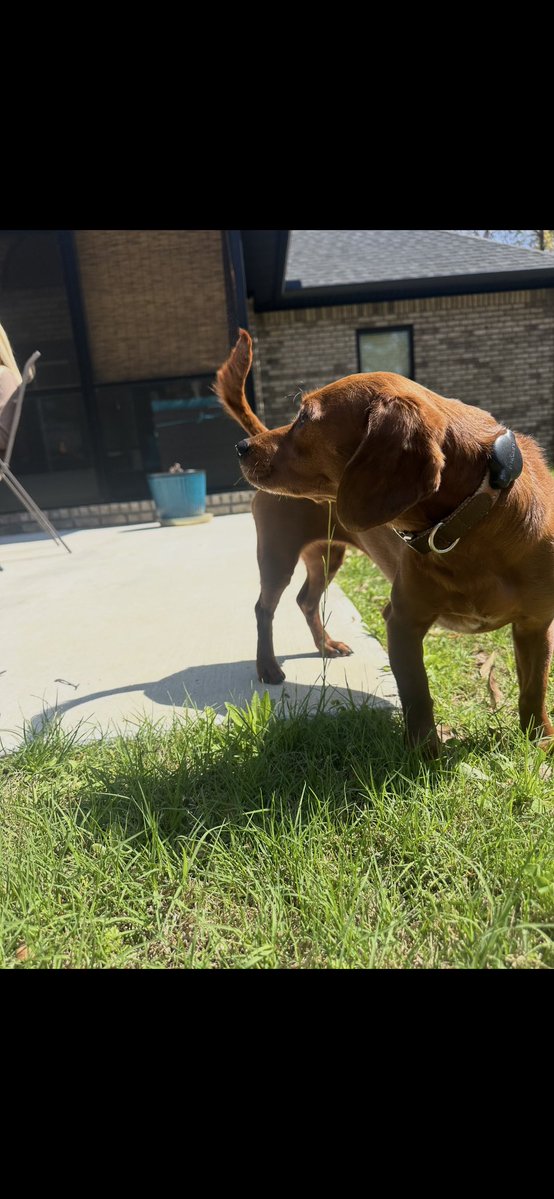 BrerTaylor tweet media