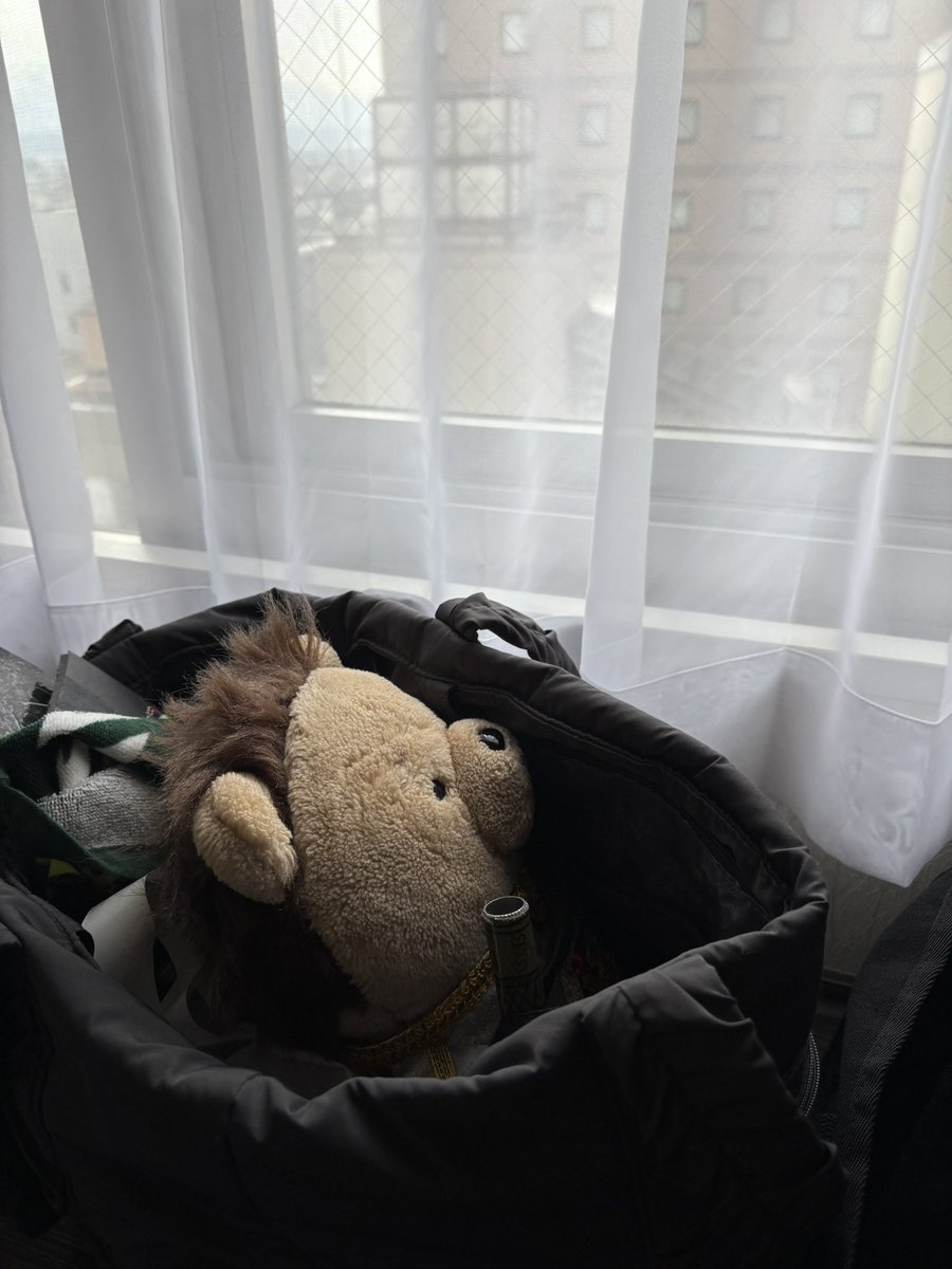 🧸ゆかり♡₄₄₈₄ tweet media