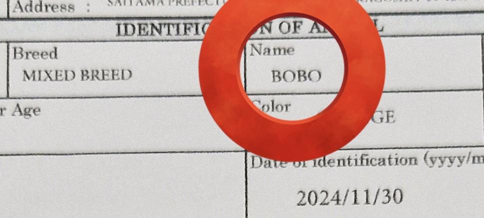 青うとん tweet media