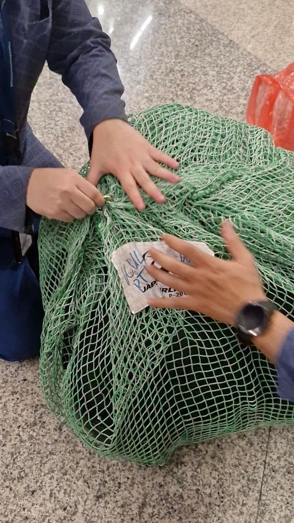 青うとん tweet media