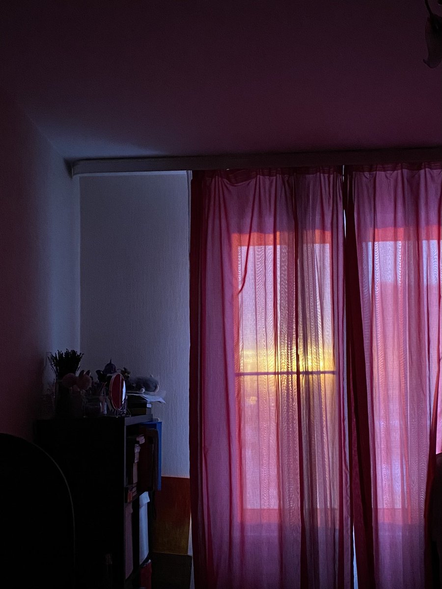 lufreech tweet media