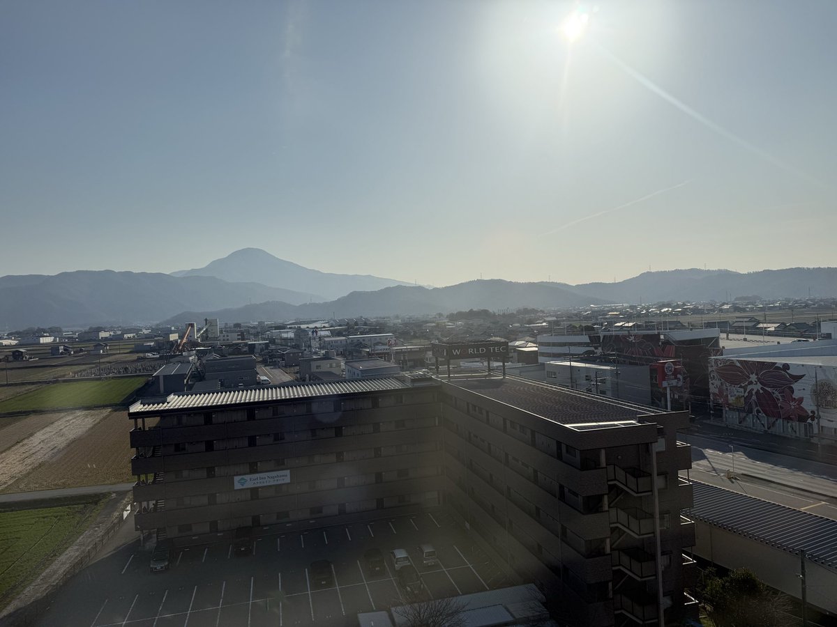 モンゴ tweet media