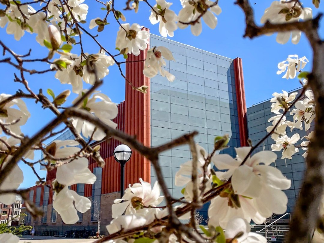 Ross School of Business tweet media