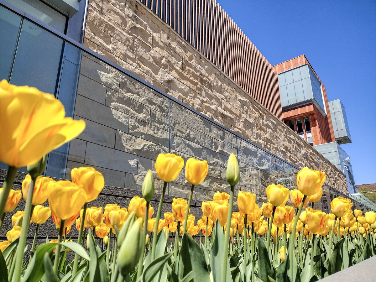 Ross School of Business tweet media