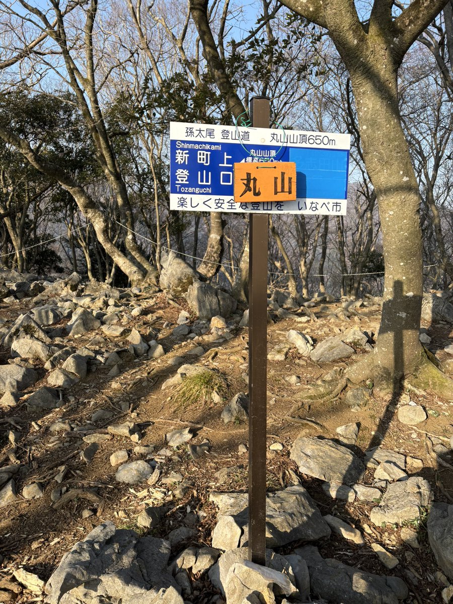 eu_accwh's tweet photo. 鈴鹿の丸山までセツブンソウ探しに。終わりかけだったけど見れて良かった。ミノコバイモも咲いてた🌸 https://t.co/whomI9JLdR