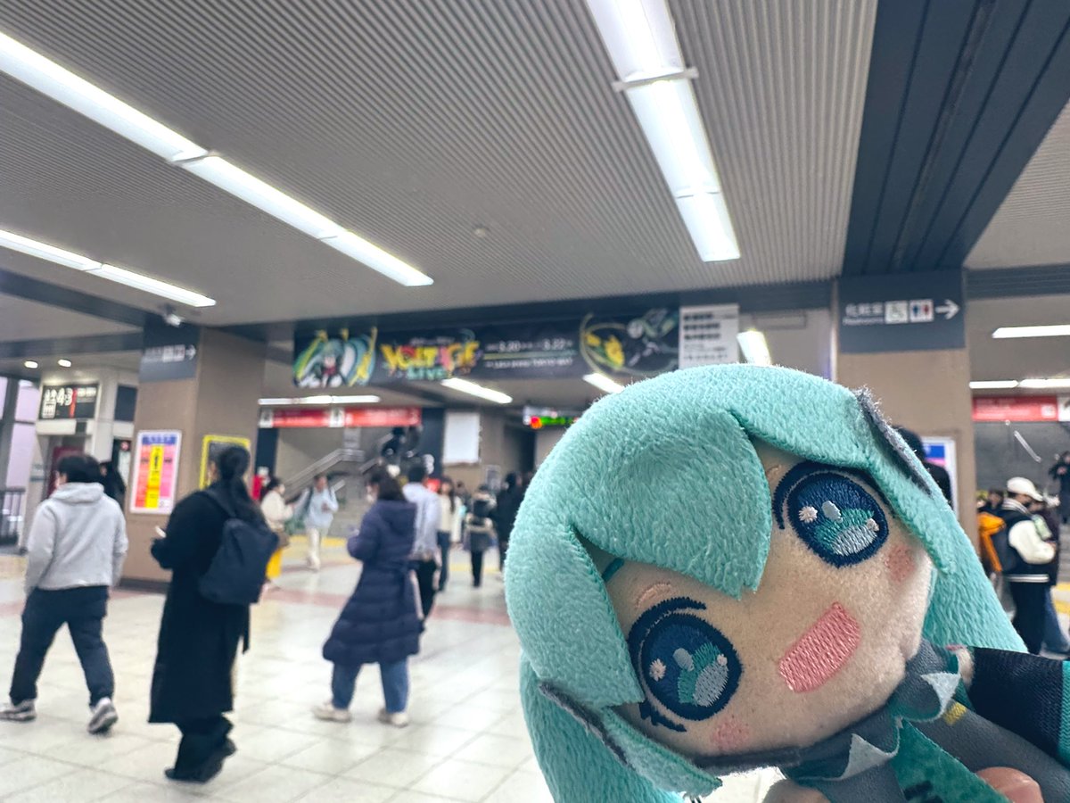 音海初音🧙♂️ tweet media