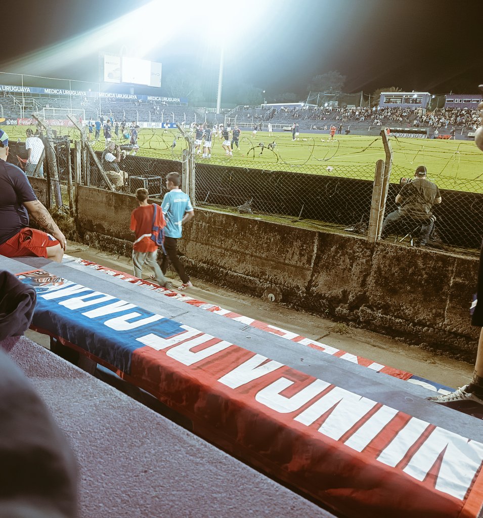 Negra Warrior 🔻 tweet media