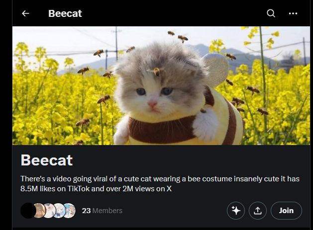 StalkFun tweet media