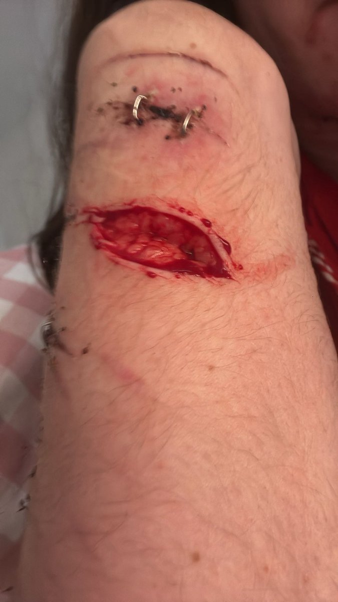 john pork of shtwt tweet media