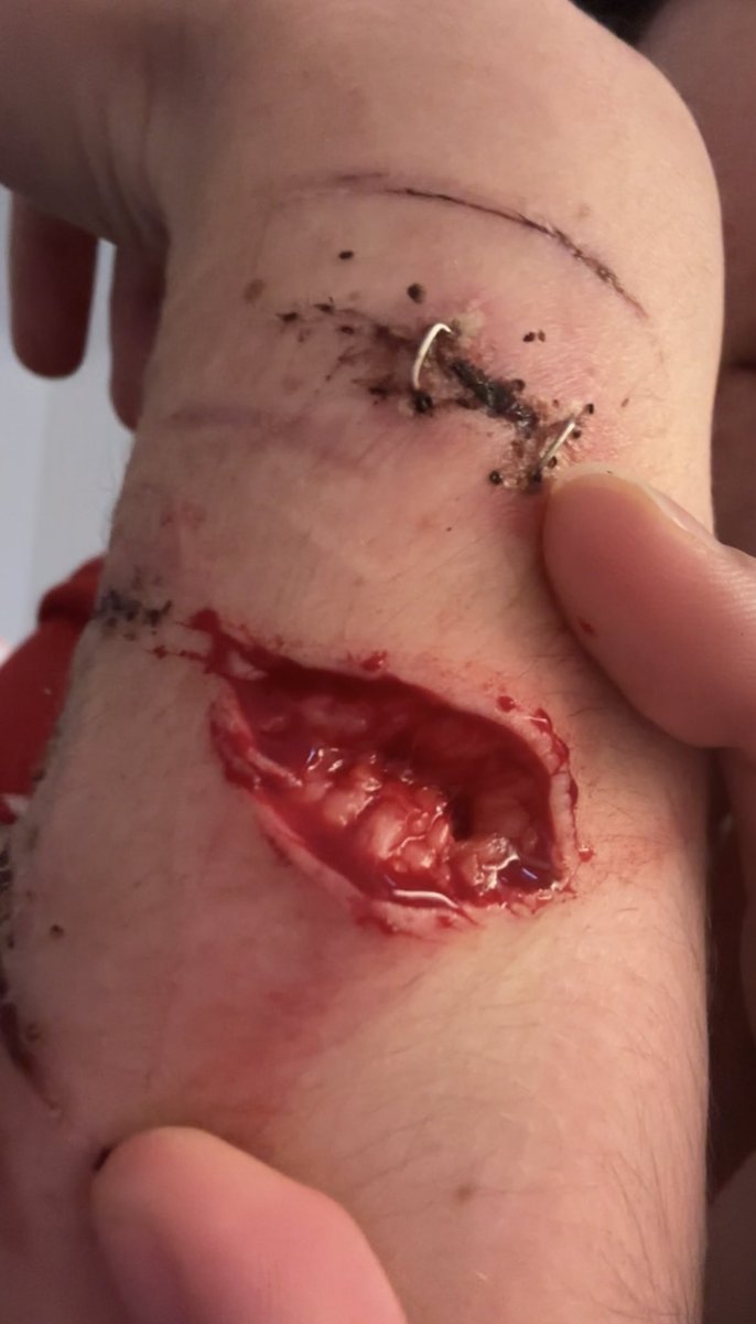 john pork of shtwt tweet media