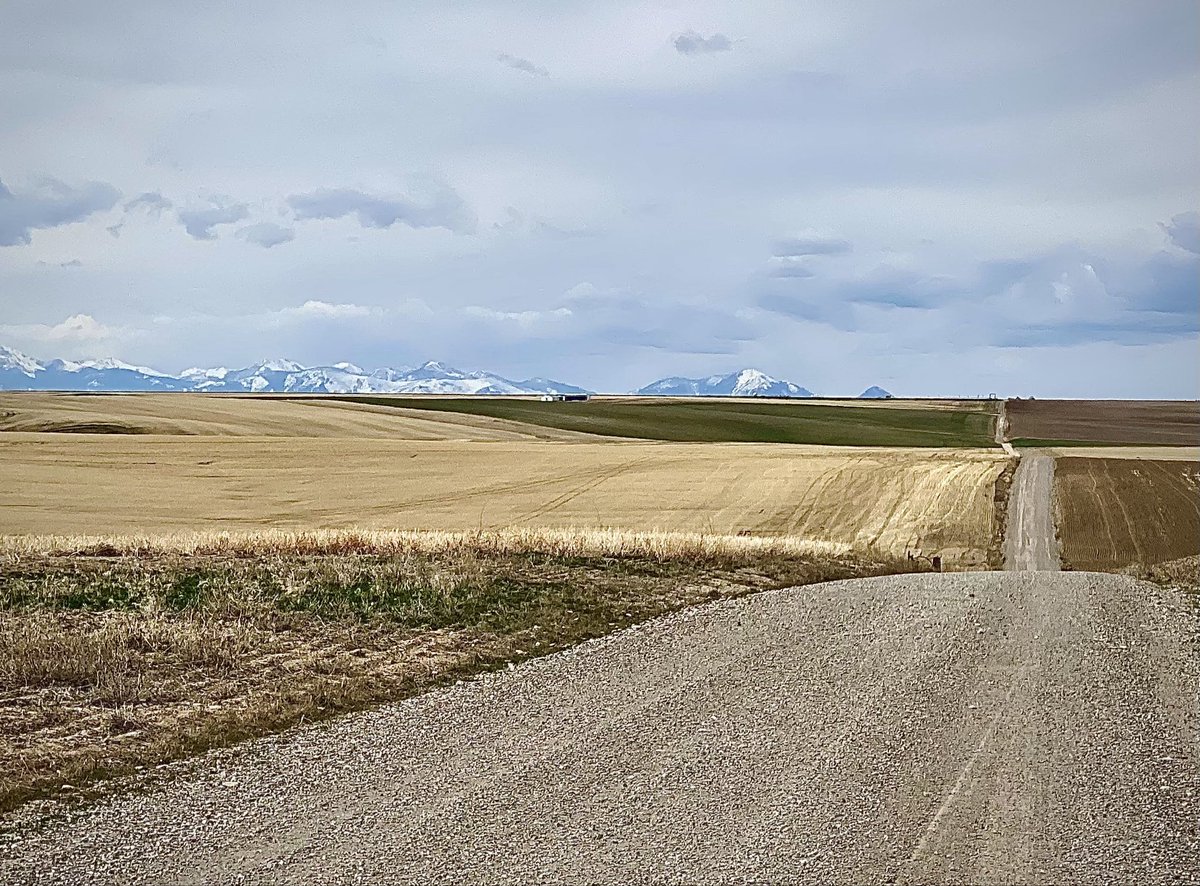 William Selden | RiversHedge, Hárbarðr tweet media