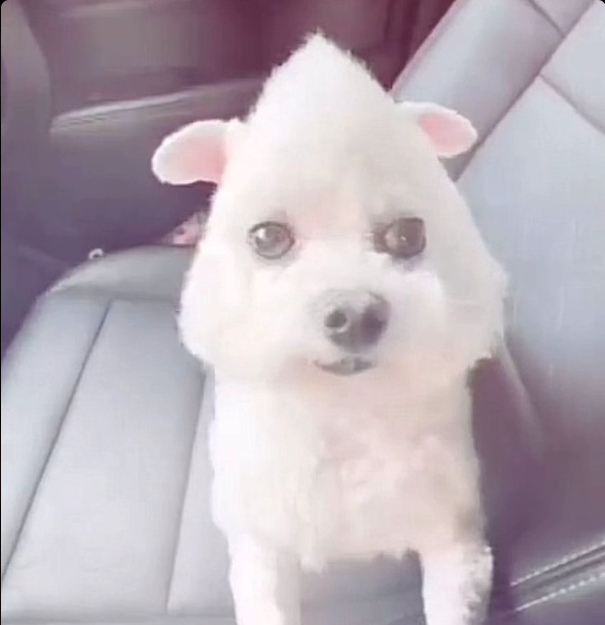 Сlouеth tweet media