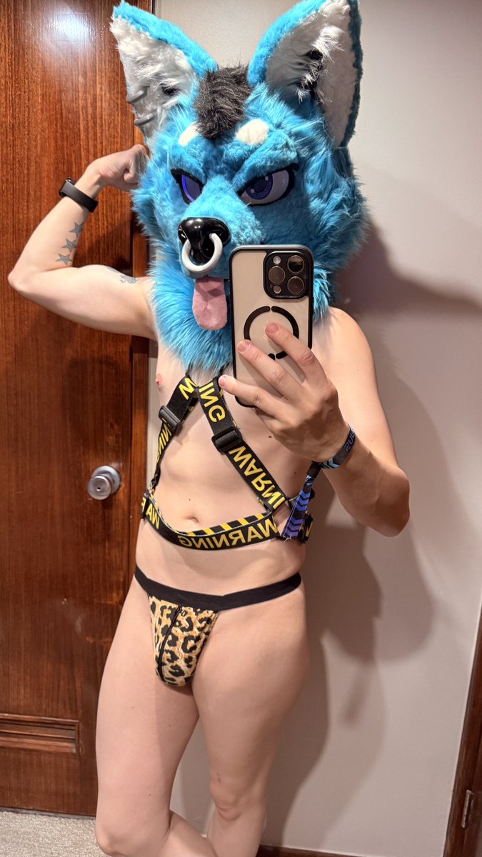 Professional Bull🐂Blue Daddy Wolf (Top 10% OF) tweet media