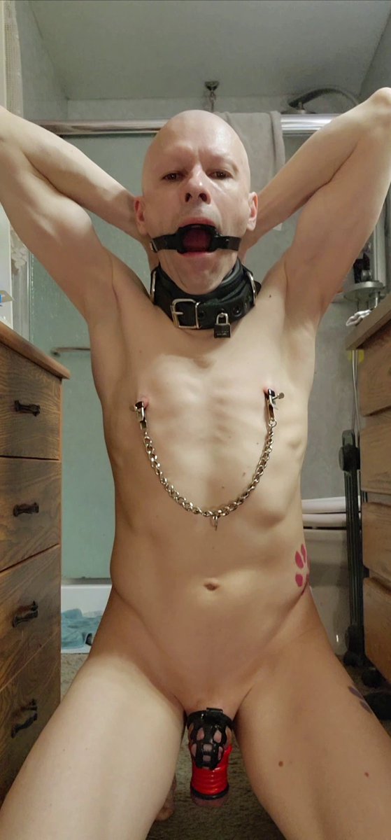 Cumlicker tweet media