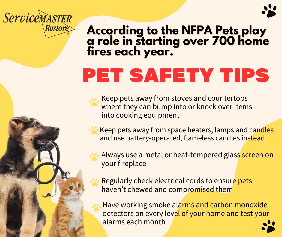 ServiceMaster Mason tweet media