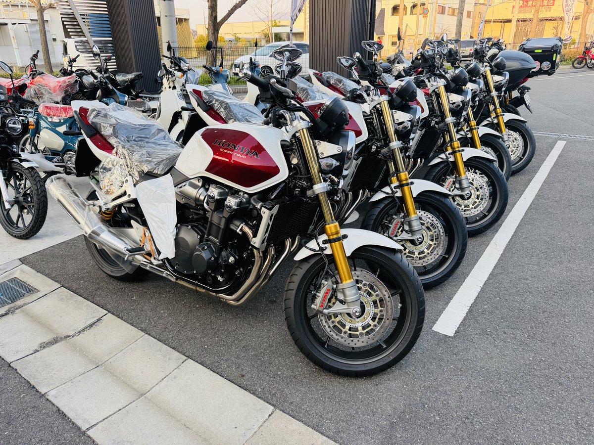 小玉絵里加 Erika Kodama tweet media