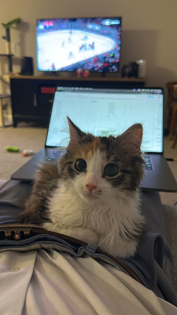 JP Gambatese tweet media