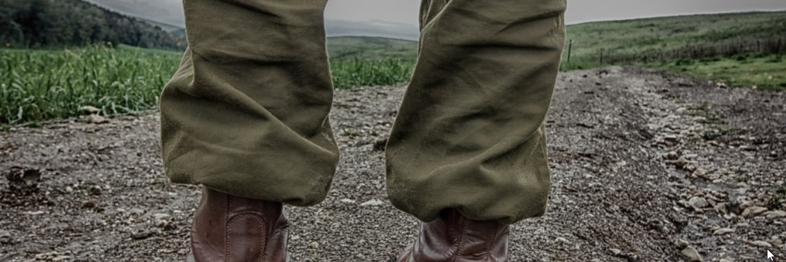 DiarioNoticiasWeb.Org tweet media