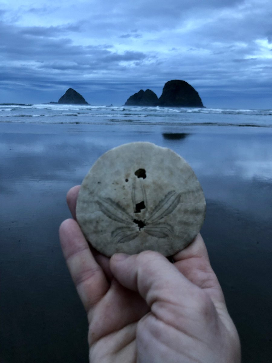 Emily Hills tweet media