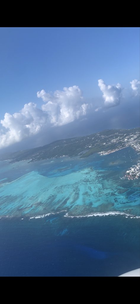 CapillaFran tweet media