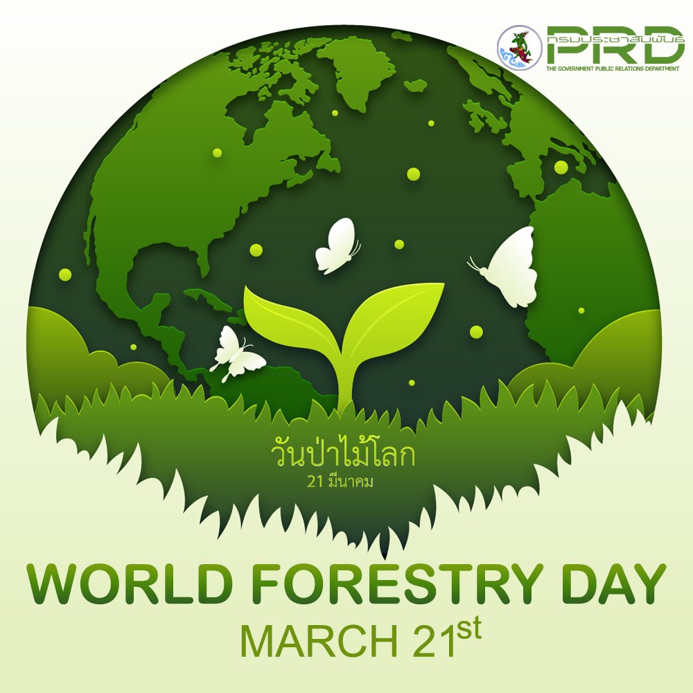 beaver_ch5's tweet photo. 21 มีนาคม : วันป่าไม้โลก (World Forestry Day) หรือ วันป่าไม้สากล (International Day of Forests) จัดตั้งขึ้นเพื่อรณรงค์ให้ตระหนักถึงคุณค่าและความสำคัญของป่าไม้ทุกประเภท เช่น ป่าฝนเขตร้อน ป่ามรสุม ป่าสน ที่มีต่อระบบนิเวศ ลดปัญหาโลกร้อน และเป็นแหล่งอาหาร https://t.co/9AQrIN19mm