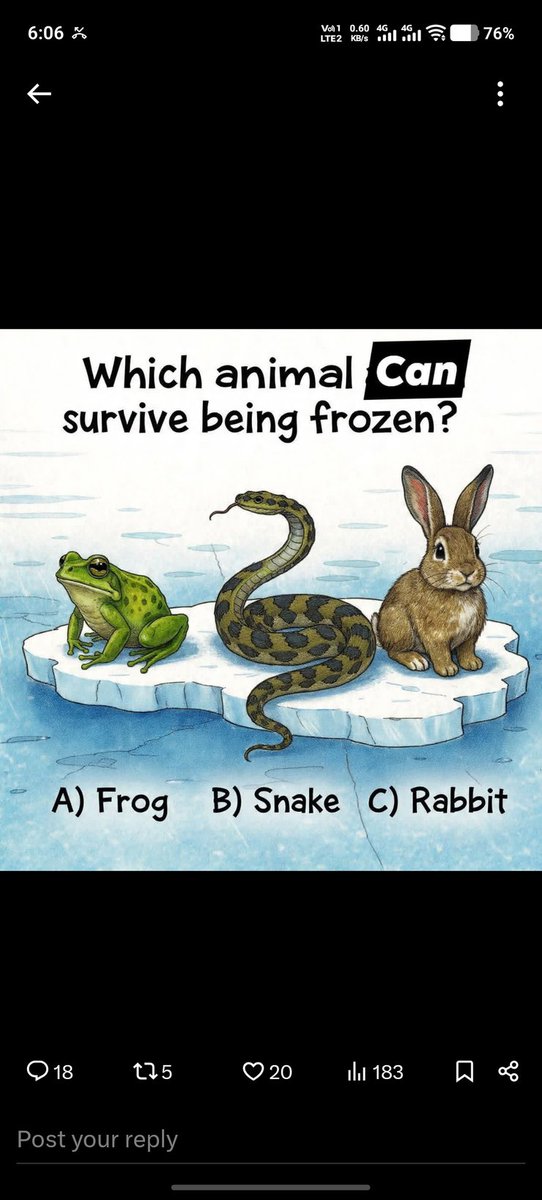 Zara🇺🇸 tweet media