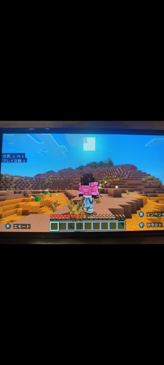 【マイクラ備忘録2026〜#1】

動画投稿はもとより、
ほとんど各アプリできていないので
年度替わりてことで気持ち新たに
マイクラとプロスピリセット。笑

まずはマイクラから。
ハードモード、ランダムシードから
この砂漠バイオームにてスタート！
#Minecraft
#マイクラ
#備忘録