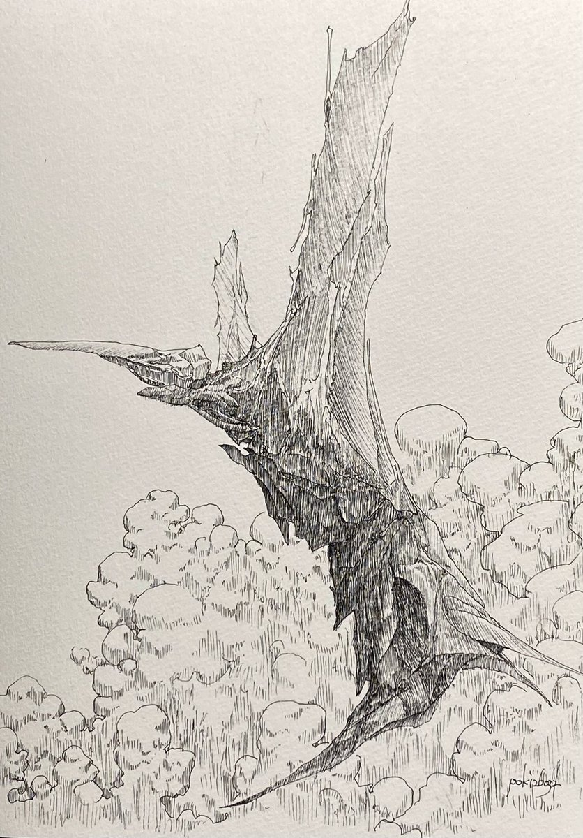 ぽき/poki tweet media