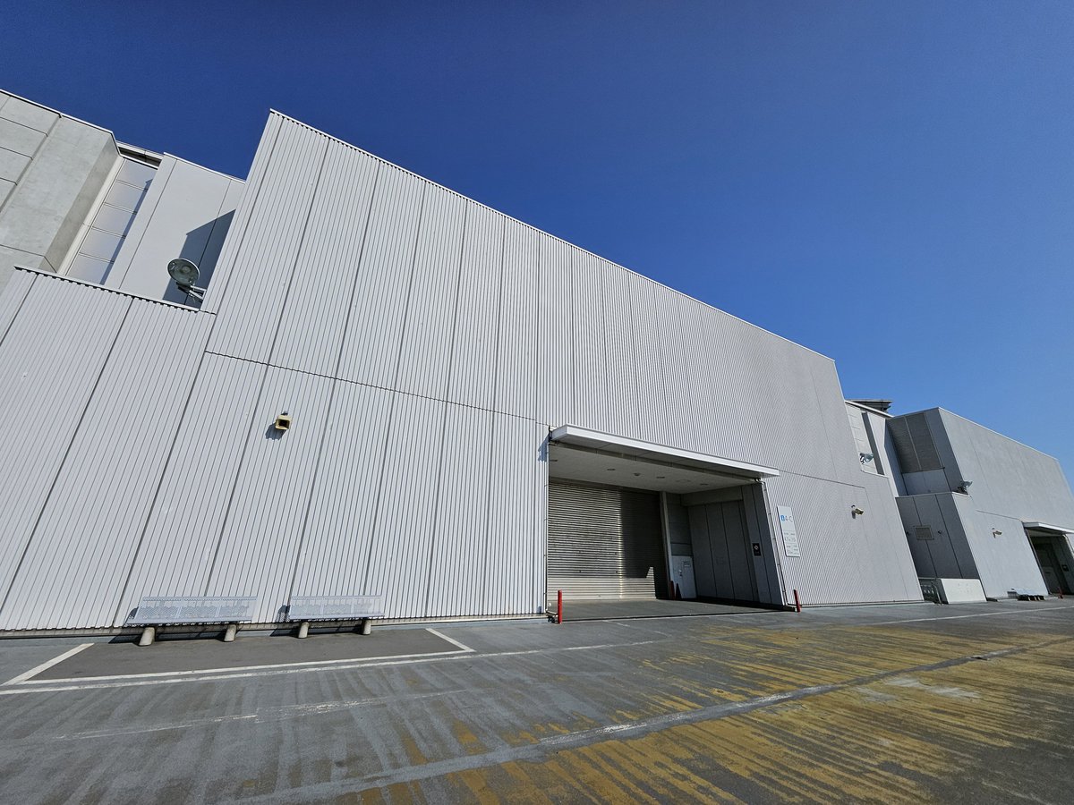 ジュニVが好きすぎる者🍀🥕☃️ tweet media